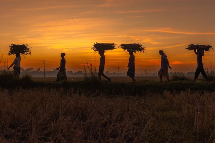 Agricultural Products Exporter Gujarat India - Vasudha Vellion Sourcing